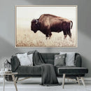 Bison in Field Wall Art Canvas Print For Farmhouse Barn