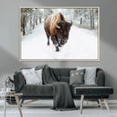 Bison Wall Art Canvas Print For Farmhouse, Animal Canvas