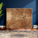 Tree Ring Canvas Art, Rustic Wood Grain Wall Art, Tree Slice