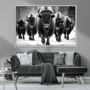 American Bison Art | Buffalo Herd Wall Art Canvas Print, BW