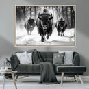Buffalo Wall Art Canvas Print, Bison Family Wall Art Canvas by MyGreatCanvas | Canvas Wall Art Prints | Photo Prints & Wall Decor