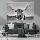 Texas Longhorn Cow Wall Art, Texas Longhorn Canvas, Cattle