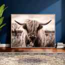 Scottish Cow Longhorn Wall Art Canvas Print