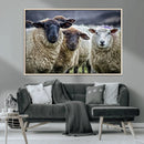 Charming Sheep Portrait Wall Art – Trio of Woolly Companions by MyGreatCanvas | Canvas Wall Art Prints | Photo Prints & Wall Decor
