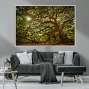 Ancient Angel Oak Tree Art Sunburst Canvas Print-