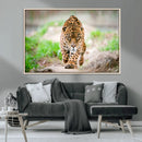 Leopard on the Prowl - Stunning Large Framed Leopard Wall