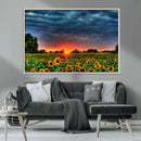 Golden Sunflower Field at Sunset – Breathtaking Sky and