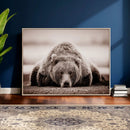 Grizzly Bear Wall Art Print - Bear Canvas Wall Art - Rustic