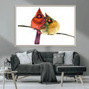 Cardinal Bird Canvas Wall Art - Male and Female Cardinal