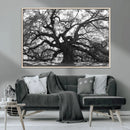Ancient Oak Wall Art Canvas Print – Gnarled Tree Twisted by MyGreatCanvas | Canvas Wall Art Prints | Photo Prints & Wall Decor