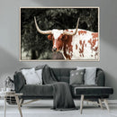 Texas Longhorn Wall Art Canvas Print – Framed Spotted Bull