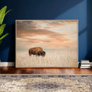 MyCanvas -