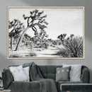 Joshua Tree Wall Art – Black & White Canvas Print, Nature by MyGreatCanvas | Canvas Wall Art Prints | Photo Prints & Wall Decor