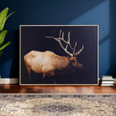 Rustic Elk Wall Art Canvas Print – Framed Moody Wildlife Art by MyGreatCanvas | Canvas Wall Art Prints | Photo Prints & Wall Decor