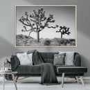 Joshua Tree Wall Art Canvas Print – Framed Monochrome Desert