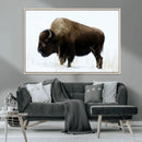 Bison Wall Art Canvas Print – Framed Western Wildlife