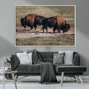 Bison Wall Art Canvas Print – Framed Western Wildlife Modern by MyGreatCanvas | Canvas Wall Art Prints | Photo Prints & Wall Decor