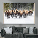 American Bison Herd Wall Art Canvas Print – Powerful Winter by MyGreatCanvas | Canvas Wall Art Prints | Photo Prints & Wall Decor