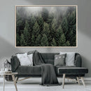 Dense Evergreen Forest Misty Morning Fog Pine Trees Woodland by MyGreatCanvas | Canvas Wall Art Prints | Photo Prints & Wall Decor
