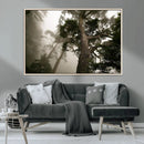 Misty Forest Tall Trees Foggy Atmosphere Nature Serenity by MyGreatCanvas | Canvas Wall Art Prints | Photo Prints & Wall Decor