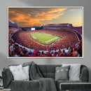 Dooley Stadium Wall Art, Sports Arena Canvas Print, Dooley by MyGreatCanvas | Canvas Wall Art Prints | Photo Prints & Wall Decor