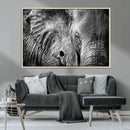 Wild Old Elephant Wall Art Canvas Print