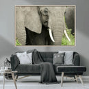 Wild Elephant Wall Art Canvas Print by MyGreatCanvas | Canvas Wall Art Prints | Photo Prints & Wall Decor
