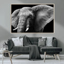 Big Elephant Close Up Wall Art Canvas Print