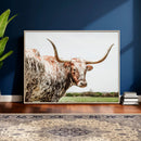 Texas Catle Longhorn Wall Art Canvas Print for Farmhouse by MyGreatCanvas | Canvas Wall Art Prints | Photo Prints & Wall Decor