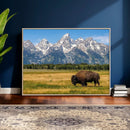 Bison in Mountain Landscape Wall Art Canvas Print – Western by MyGreatCanvas | Canvas Wall Art Prints | Photo Prints & Wall Decor