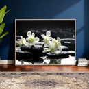 Plumeria Frangipani Black Stone Canvas | White Flower Spa by MyGreatCanvas | Canvas Wall Art Prints | Photo Prints & Wall Decor
