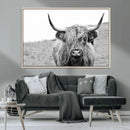 Newfoundland Cow Art Wall Art, Black White Cow Art Wall Art