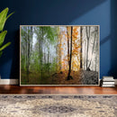 Four Seasons Wall Art Forest Canvas Print – Triptych