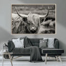 Cow Focus Canvas Wall Art Print by MyGreatCanvas | Canvas Wall Art Prints | Photo Prints & Wall Decor