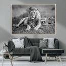 King Forest Lion Wall Art Canvas Print – Framed Majestic by MyGreatCanvas | Canvas Wall Art Prints | Photo Prints & Wall Decor