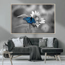 Blue Butterfly Black and White Canvas Wall Art by MyGreatCanvas | Canvas Wall Art Prints | Photo Prints & Wall Decor