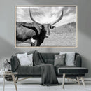 Cattle Wall Art Longhorn Cow Canvas Print
