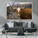 Framed Big Cow Animal Wall Art Canvas Print by MyGreatCanvas | Canvas Wall Art Prints | Photo Prints & Wall Decor