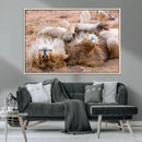 Lion Pair Wall Art Canvas Print – Framed Wildlife Scene with