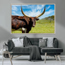 Longhorn and Cow Wall Art, Country Cow Wall Decor Canvas by MyGreatCanvas | Canvas Wall Art Prints | Photo Prints & Wall Decor