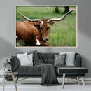 Longhorn Steer Canvas Wall Art – Rustic Nature Triptych