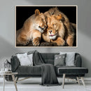 Lion and Lioness Wall Art Canvas Print – Framed African