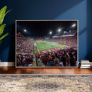 Washington-Grizzly Stadium Canvas Print, American Football
