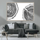 Abstract Large Tree Rings – Minimalist Black and White Wood