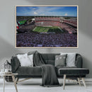 South Carolina Gamecocks Football Team Print - Columbia