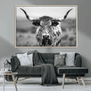 Texas Cow Longhorn Wall Art Canvas Print for Farm House Wall
