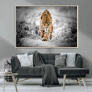 Jaguar Wall Art Canvas Print - Majestic Big Cat in Focused by MyGreatCanvas | Canvas Wall Art Prints | Photo Prints & Wall Decor