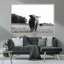 Black and White Highland Cow Wall Art Canvas Print | Rustic