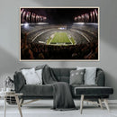 Eagles Field Stadium Wall Art - Philadelphia Eagles Football