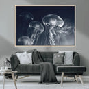 Jellyfish Wall Art Canvas Print, Modern Abstract Jellyfish